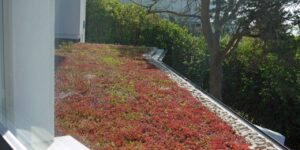 Sedum roof over entrance canopy at gallery. -d119b8d0